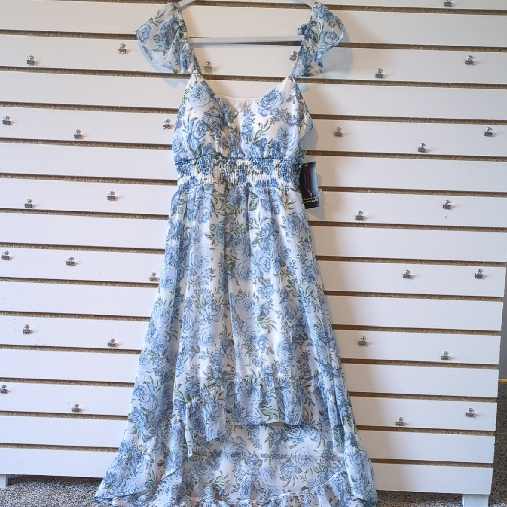 No Boundaries Blue and White Floral Dress